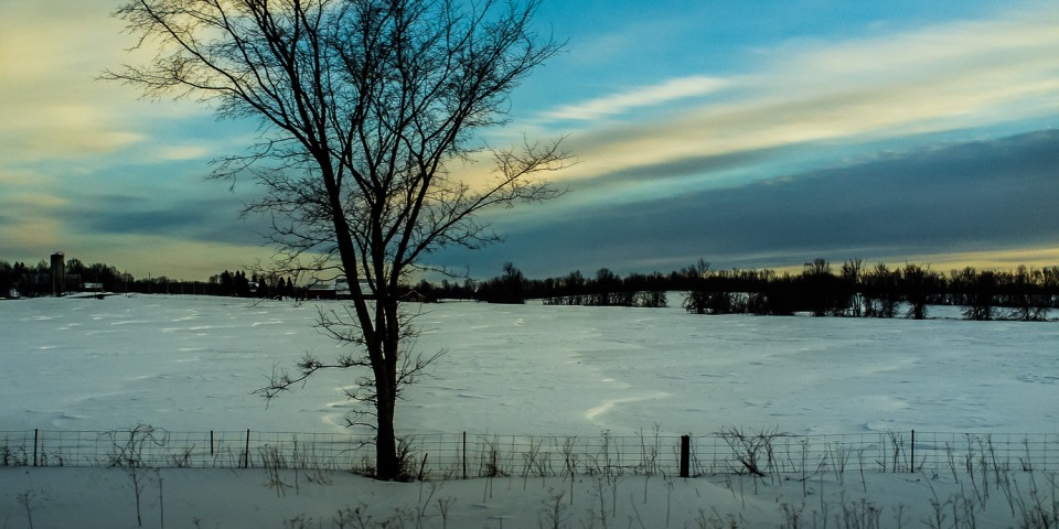 DSCF2052