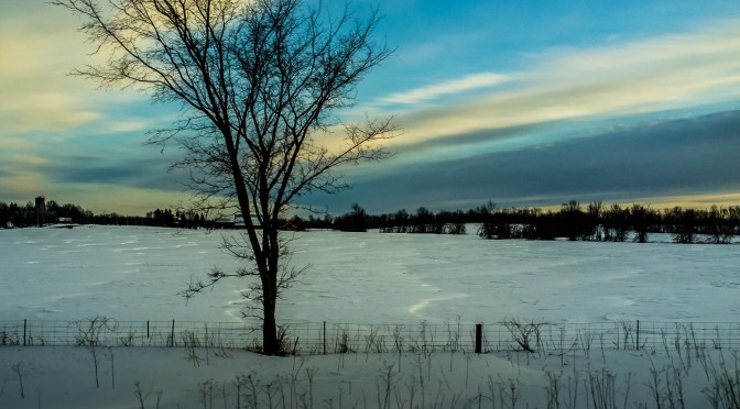 Random Shots from Ottawa